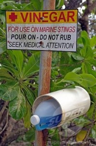 Most beaches in North Qld have vinegar available for jellyfish sting emergencies.